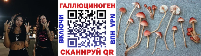 Псилоцибиновые грибы прущие грибы сколько стоит блэк спрут как войти Таштагол